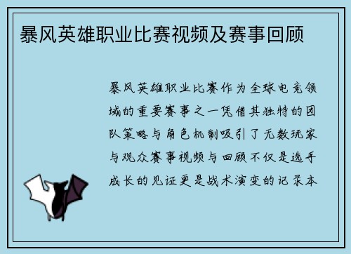 暴风英雄职业比赛视频及赛事回顾