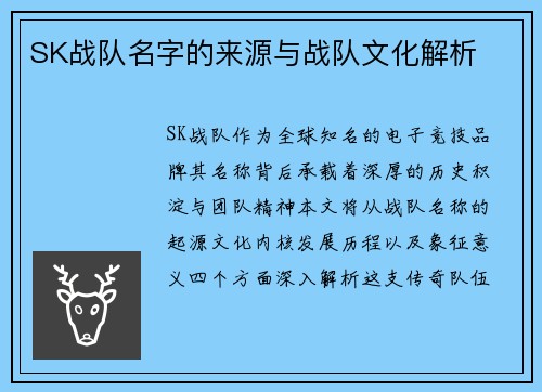 SK战队名字的来源与战队文化解析